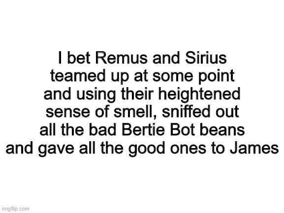 this had to happen at some point | I bet Remus and Sirius teamed up at some point and using their heightened sense of smell, sniffed out all the bad Bertie Bot beans and gave all the good ones to James | image tagged in blank white template | made w/ Imgflip meme maker