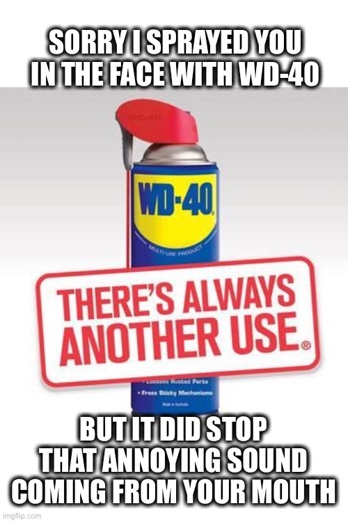 Wd-40 | SORRY I SPRAYED YOU IN THE FACE WITH WD-40; BUT IT DID STOP THAT ANNOYING SOUND COMING FROM YOUR MOUTH | image tagged in wd-40,wd40,shut up,spray,quiet,meme | made w/ Imgflip meme maker