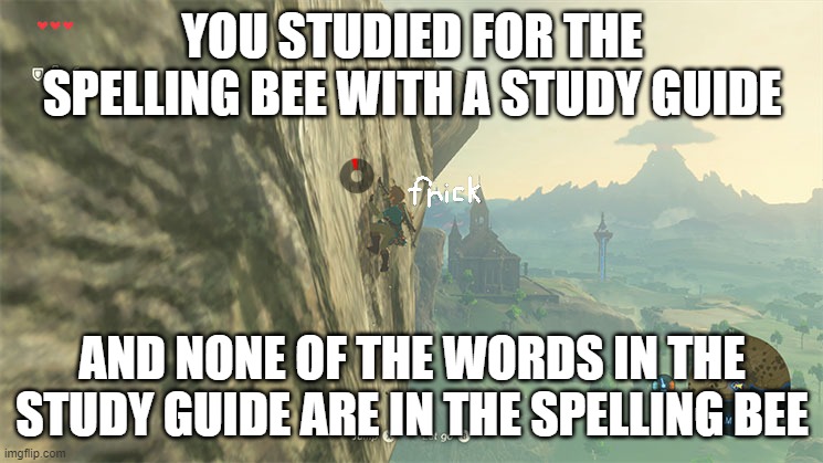Spelling Bee | YOU STUDIED FOR THE SPELLING BEE WITH A STUDY GUIDE; AND NONE OF THE WORDS IN THE STUDY GUIDE ARE IN THE SPELLING BEE | image tagged in link,botw,climbing,stamina | made w/ Imgflip meme maker