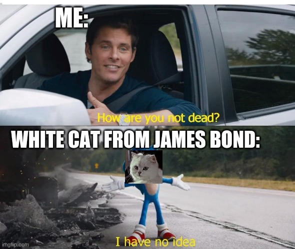 Seriously though... does this cat EVER die??? | ME:; WHITE CAT FROM JAMES BOND: | image tagged in sonic how are you not dead,james bond,cat | made w/ Imgflip meme maker