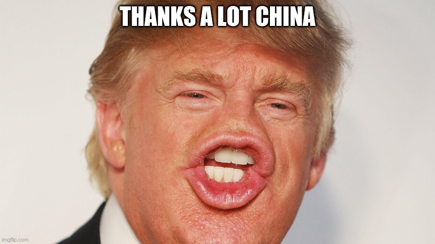 Donald Trump China | THANKS A LOT CHINA | image tagged in donald trump china | made w/ Imgflip meme maker