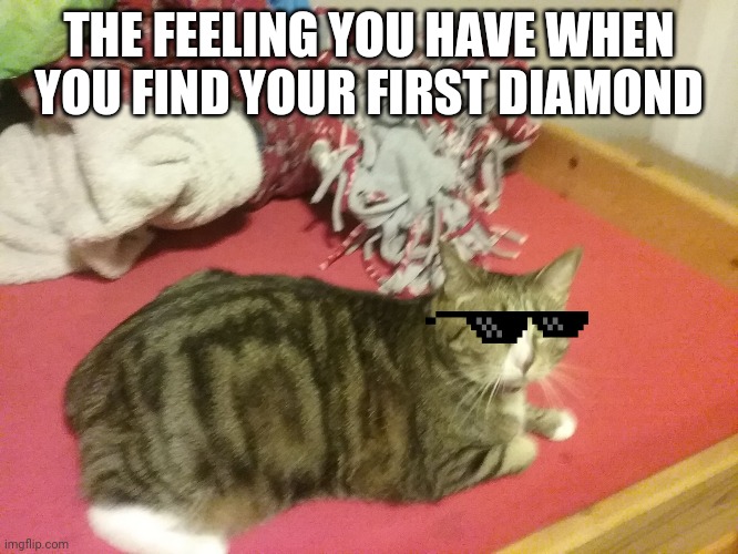 Nervous Cat | THE FEELING YOU HAVE WHEN YOU FIND YOUR FIRST DIAMOND | image tagged in nervous cat | made w/ Imgflip meme maker