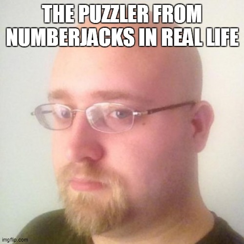 the puzzler in real life | THE PUZZLER FROM NUMBERJACKS IN REAL LIFE | image tagged in world's baldest man,numberjacks | made w/ Imgflip meme maker