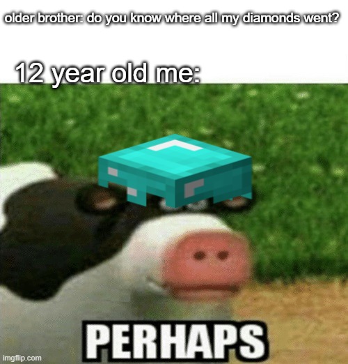Perhaps Cow | older brother: do you know where all my diamonds went? 12 year old me: | image tagged in perhaps cow | made w/ Imgflip meme maker