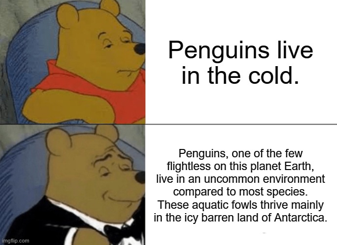 penguins | Penguins live in the cold. Penguins, one of the few flightless on this planet Earth, live in an uncommon environment compared to most species. These aquatic fowls thrive mainly in the icy barren land of Antarctica. | image tagged in memes,tuxedo winnie the pooh | made w/ Imgflip meme maker