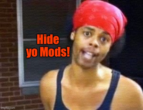 HIDE YO KIDS | Hide yo Mods! | image tagged in hide yo kids | made w/ Imgflip meme maker