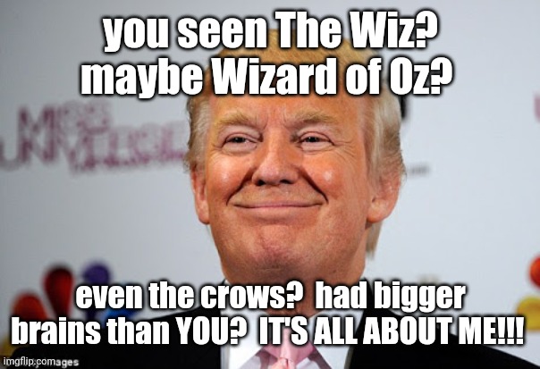 If YOU only had a brain. | you seen The Wiz? maybe Wizard of Oz? even the crows?  had bigger brains than YOU?  IT'S ALL ABOUT ME!!! | image tagged in trump,donald trump,wizard of oz,wizard of oz scarecrow,wizard | made w/ Imgflip meme maker