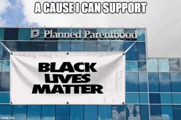 360,000 African-American babes are killed each year, 79% of PP clinics are within walking distance of minorities communities. | A CAUSE I CAN SUPPORT | image tagged in blm,abortion,planned parenthood | made w/ Imgflip meme maker