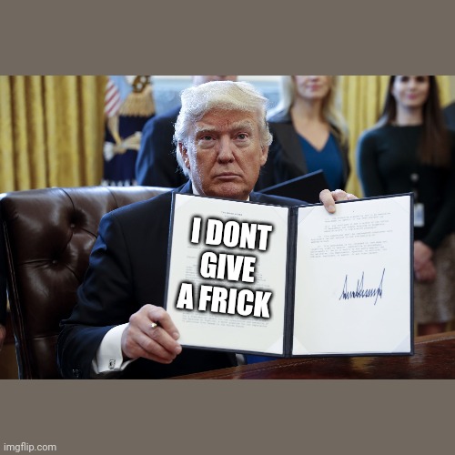 Donald Trump Executive Order | I DONT GIVE A FRICK | image tagged in donald trump executive order | made w/ Imgflip meme maker