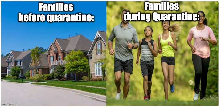 Families during Quarantine:; Families before quarantine: | image tagged in quarantine | made w/ Imgflip meme maker