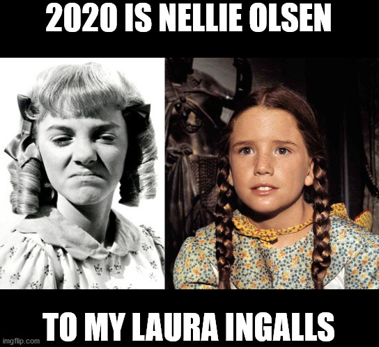 2020 Oh Nellie | 2020 IS NELLIE OLSEN; TO MY LAURA INGALLS | image tagged in little house,nelly olsen,laura ingalls,covid,riots | made w/ Imgflip meme maker