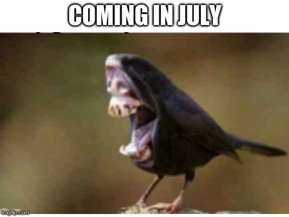 COMING IN JULY | image tagged in 2020 is poop | made w/ Imgflip meme maker