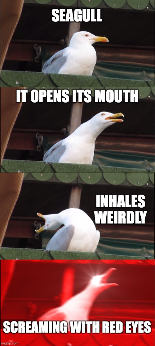 Anti Meme Seagull | SEAGULL; IT OPENS ITS MOUTH; INHALES WEIRDLY; SCREAMING WITH RED EYES | image tagged in memes,inhaling seagull | made w/ Imgflip meme maker