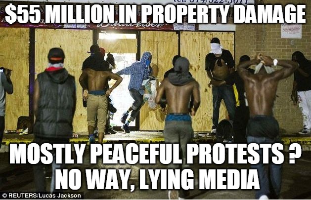 $55 million in property damage | $55 MILLION IN PROPERTY DAMAGE; MOSTLY PEACEFUL PROTESTS ?
 NO WAY, LYING MEDIA | image tagged in property,damage,looter,peaceful,protest,media | made w/ Imgflip meme maker