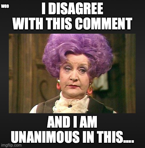purple hair | W69; I DISAGREE WITH THIS COMMENT; AND I AM UNANIMOUS IN THIS.... | image tagged in old lady,unanimous,are you being served | made w/ Imgflip meme maker