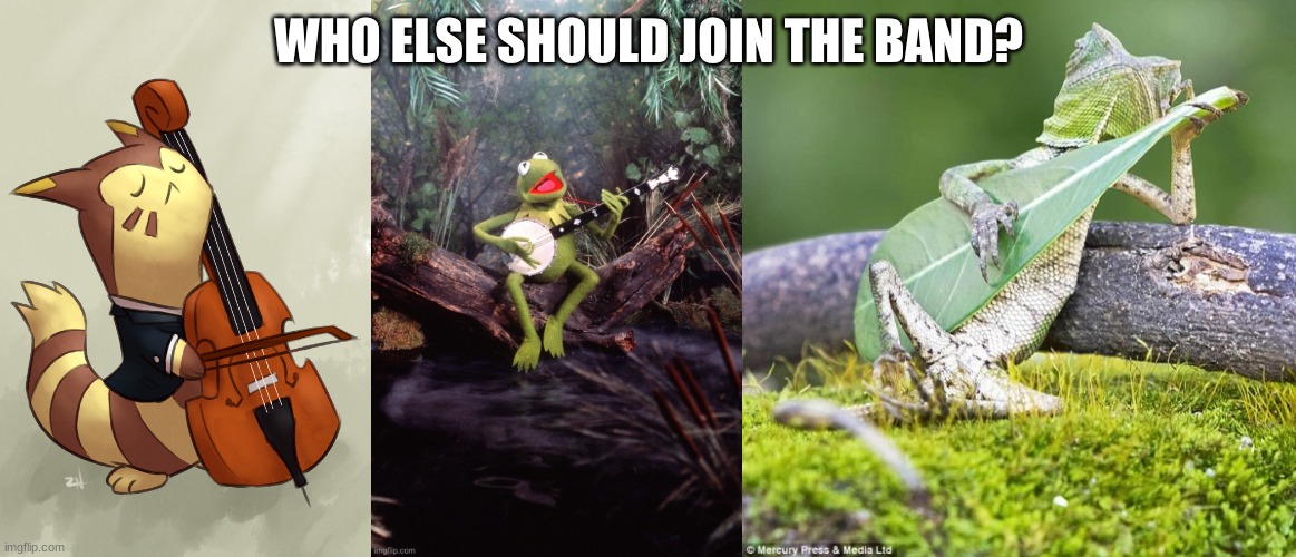 :) | WHO ELSE SHOULD JOIN THE BAND? | image tagged in lizard music,furret music,frog music | made w/ Imgflip meme maker