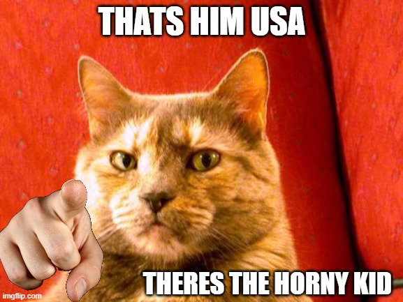 Suspicious Cat | THATS HIM USA; THERES THE HORNY KID | image tagged in memes,suspicious cat | made w/ Imgflip meme maker