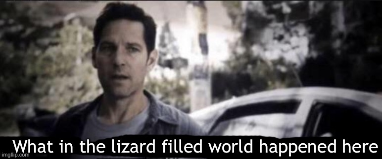 What in the lizard filled world happened here Blank Meme Template