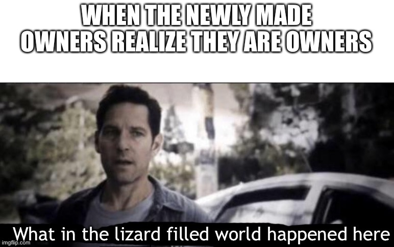 What in the lizard filled world happened here | WHEN THE NEWLY MADE OWNERS REALIZE THEY ARE OWNERS | image tagged in what in the lizard filled world happened here | made w/ Imgflip meme maker