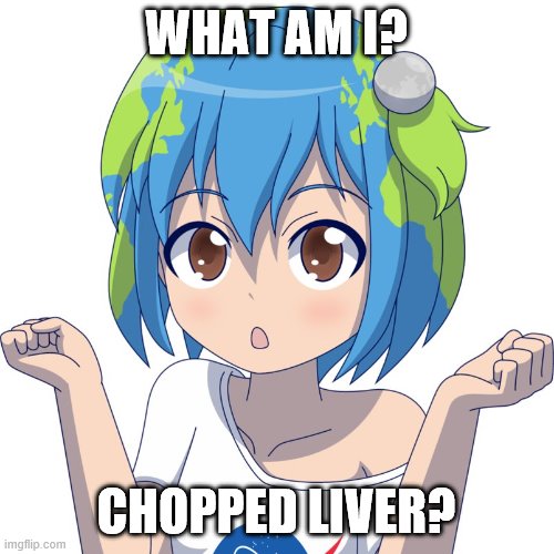 Poor earth chan | WHAT AM I? CHOPPED LIVER? | image tagged in earth chan | made w/ Imgflip meme maker