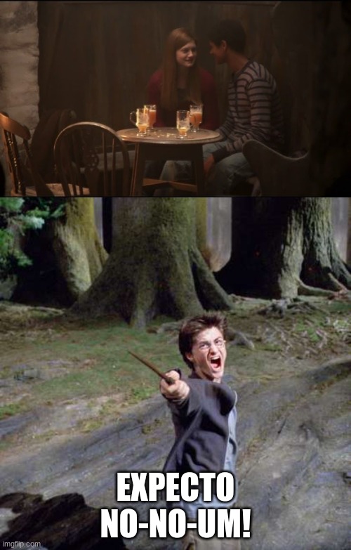 Learning new spells everyday, huh? | EXPECTO NO-NO-UM! | image tagged in harry potter,funny,expecting-patronum | made w/ Imgflip meme maker