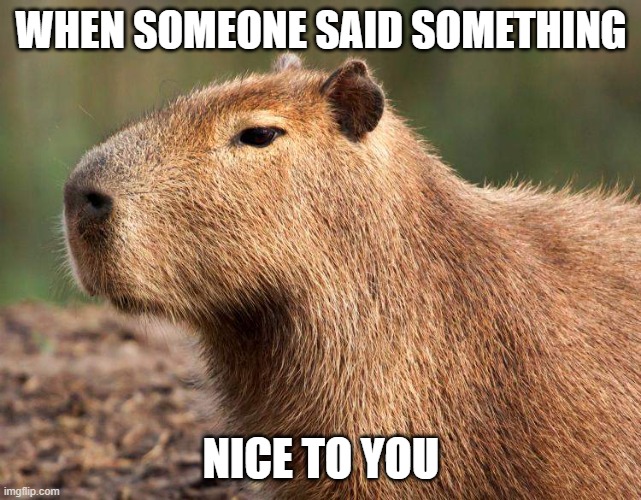 WHEN SOMEONE SAID SOMETHING; NICE TO YOU | image tagged in animals,fun | made w/ Imgflip meme maker