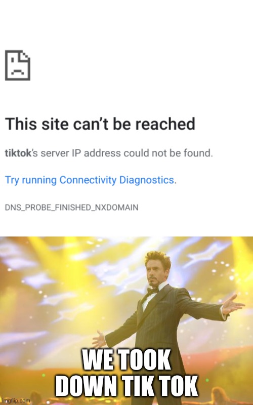 celebration | WE TOOK DOWN TIK TOK | image tagged in tony stark success | made w/ Imgflip meme maker