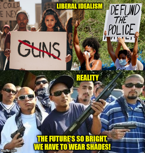 Defund Insanity | LIBERAL IDEALISM; REALITY; THE FUTURE'S SO BRIGHT, WE HAVE TO WEAR SHADES! | image tagged in riots,liberal logic,insanity,law and order,maga | made w/ Imgflip meme maker