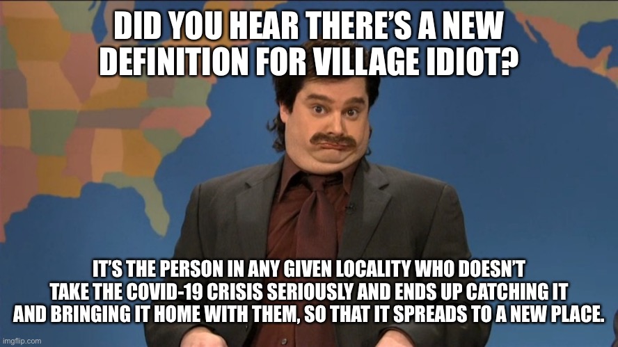 did you hear | DID YOU HEAR THERE’S A NEW DEFINITION FOR VILLAGE IDIOT? IT’S THE PERSON IN ANY GIVEN LOCALITY WHO DOESN’T TAKE THE COVID-19 CRISIS SERIOUSLY AND ENDS UP CATCHING IT AND BRINGING IT HOME WITH THEM, SO THAT IT SPREADS TO A NEW PLACE. | image tagged in did you hear | made w/ Imgflip meme maker