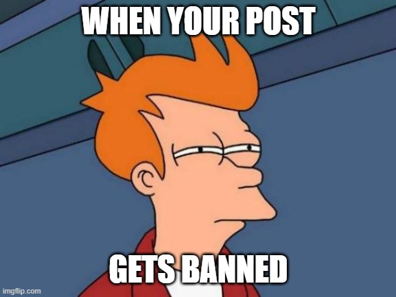 Futurama Fry | WHEN YOUR POST; GETS BANNED | image tagged in memes,futurama fry | made w/ Imgflip meme maker