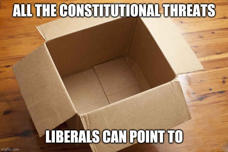 Empty Box | ALL THE CONSTITUTIONAL THREATS LIBERALS CAN POINT TO | image tagged in empty box | made w/ Imgflip meme maker