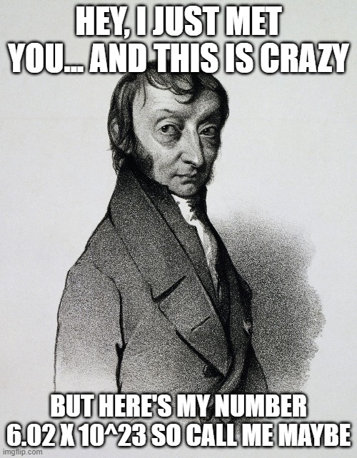 Avogadro | HEY, I JUST MET YOU... AND THIS IS CRAZY; BUT HERE'S MY NUMBER 6.02 X 10^23 SO CALL ME MAYBE | image tagged in avogadro | made w/ Imgflip meme maker