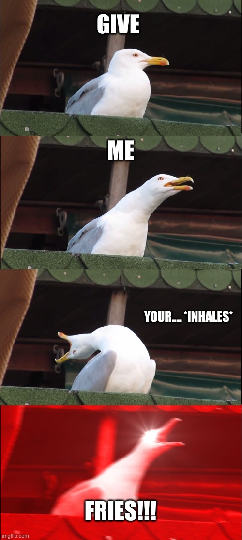 Inhaling Seagull Meme | GIVE; ME; YOUR.... *INHALES*; FRIES!!! | image tagged in memes,inhaling seagull | made w/ Imgflip meme maker