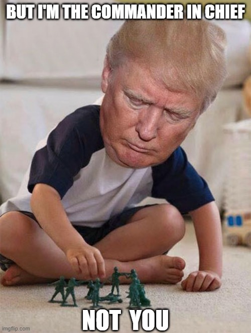 commander-in-chief | BUT I'M THE COMMANDER IN CHIEF; NOT  YOU | image tagged in trump toy soldiers | made w/ Imgflip meme maker