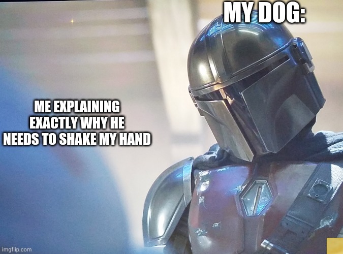 Baby yoda goblin | MY DOG:; ME EXPLAINING EXACTLY WHY HE NEEDS TO SHAKE MY HAND | image tagged in baby yoda goblin | made w/ Imgflip meme maker