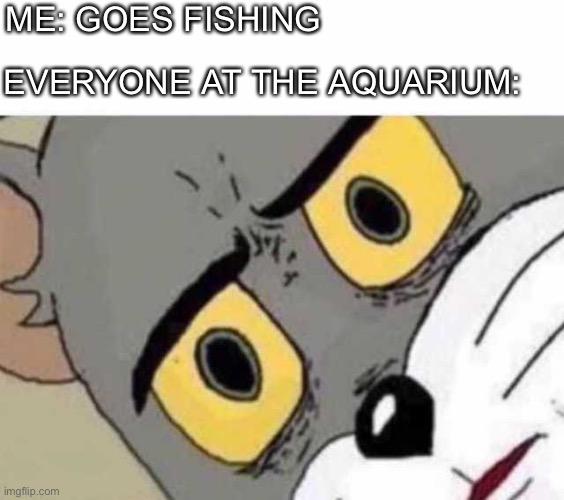What bait should I use? |  ME: GOES FISHING; EVERYONE AT THE AQUARIUM: | image tagged in tom cat unsettled close up | made w/ Imgflip meme maker