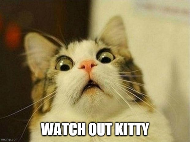 Scared Cat Meme | WATCH OUT KITTY | image tagged in memes,scared cat | made w/ Imgflip meme maker