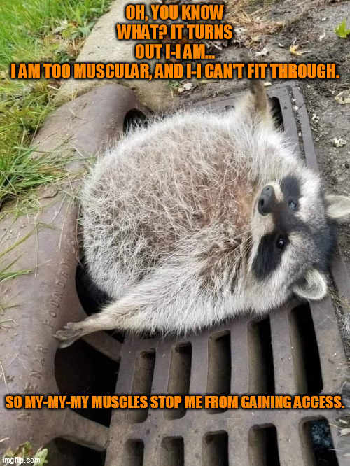 OH, YOU KNOW WHAT? IT TURNS OUT I-I AM... I AM TOO MUSCULAR, AND I-I CAN'T FIT THROUGH. SO MY-MY-MY MUSCLES STOP ME FROM GAINING ACCESS. | image tagged in mac,it's always sunny in philidelphia | made w/ Imgflip meme maker