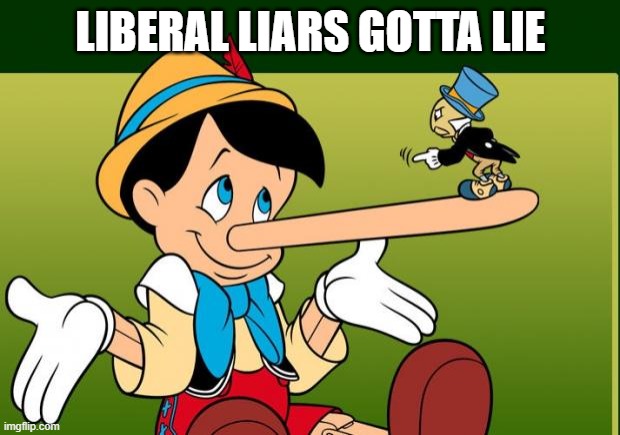 Liar | LIBERAL LIARS GOTTA LIE | image tagged in liar | made w/ Imgflip meme maker