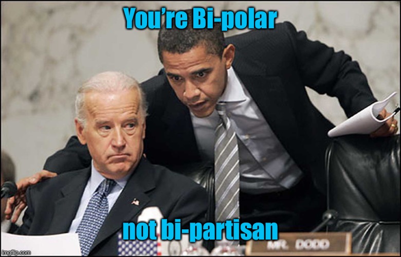 Obama Biden | You’re Bi-polar not bi-partisan | image tagged in obama biden | made w/ Imgflip meme maker