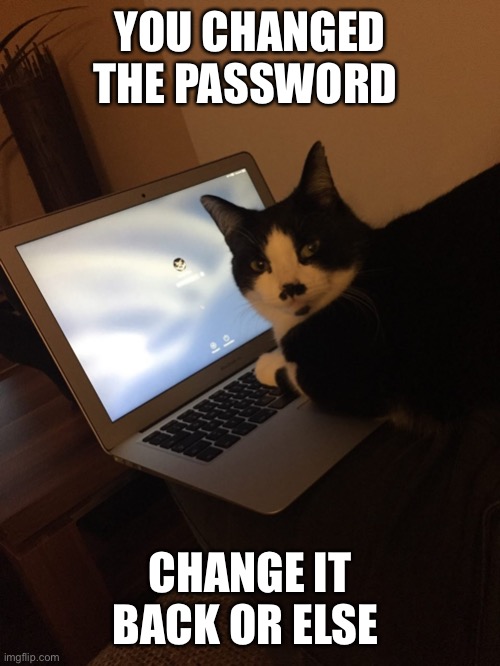 Cat forgot password | YOU CHANGED THE PASSWORD; CHANGE IT BACK OR ELSE | image tagged in cat forgot password | made w/ Imgflip meme maker