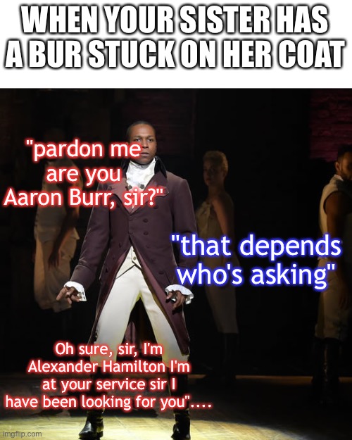 Leslie Odom Jr as Aaron Burr in Hamilton the Musical | WHEN YOUR SISTER HAS A BUR STUCK ON HER COAT; "pardon me are you Aaron Burr, sir?"; "that depends who's asking"; Oh sure, sir, I'm Alexander Hamilton I'm at your service sir I have been looking for you".... | image tagged in leslie odom jr as aaron burr in hamilton the musical | made w/ Imgflip meme maker