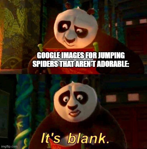 This is true: | GOOGLE IMAGES FOR JUMPING SPIDERS THAT AREN'T ADORABLE: | image tagged in kung fu panda its blank | made w/ Imgflip meme maker