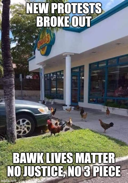 Bawk Lives Matter | NEW PROTESTS BROKE OUT; BAWK LIVES MATTER
NO JUSTICE, NO 3 PIECE | image tagged in funny | made w/ Imgflip meme maker