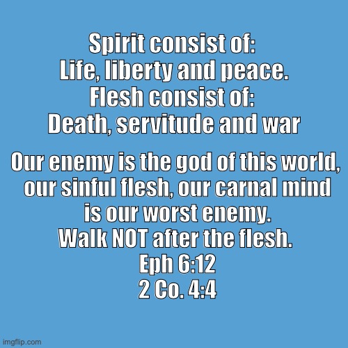 Spirit | Spirit consist of: 
Life, liberty and peace.
Flesh consist of: 
Death, servitude and war; Our enemy is the god of this world, 
our sinful flesh, our carnal mind
 is our worst enemy. 
Walk NOT after the flesh. 
Eph 6:12
2 Co. 4:4 | image tagged in walk in spirit | made w/ Imgflip meme maker