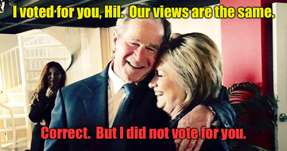 Hillary George Bush Clinton | I voted for you, Hil.  Our views are the same. Correct.  But I did not vote for you. | image tagged in hillary george bush clinton | made w/ Imgflip meme maker