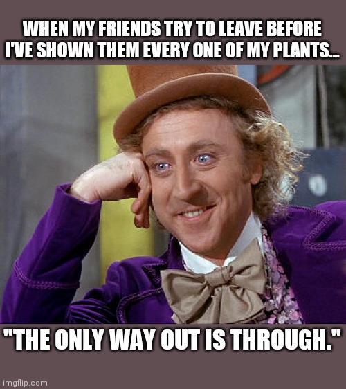 Big Willy Wonka Tell Me Again | WHEN MY FRIENDS TRY TO LEAVE BEFORE I'VE SHOWN THEM EVERY ONE OF MY PLANTS... "THE ONLY WAY OUT IS THROUGH." | image tagged in big willy wonka tell me again,plants,gardening,garden | made w/ Imgflip meme maker
