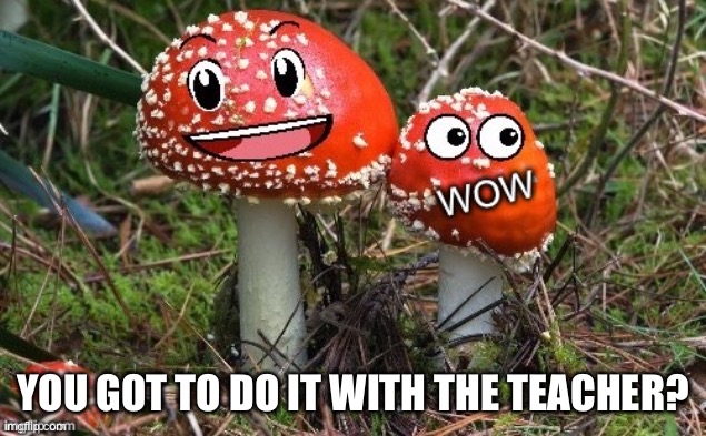 WoW Shroom Upvote | YOU GOT TO DO IT WITH THE TEACHER? | image tagged in wow shroom upvote | made w/ Imgflip meme maker