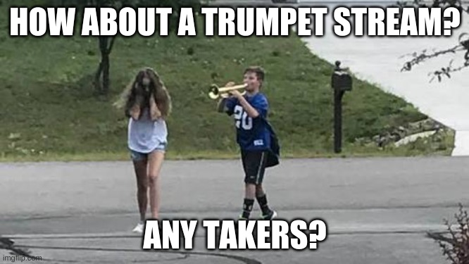 I know a few, you're in the tags:) | HOW ABOUT A TRUMPET STREAM? ANY TAKERS? | image tagged in trumpet girl,captain_scar,itsrcainingtacos,numnumcookies,i think that last one was right,if not so sorry | made w/ Imgflip meme maker
