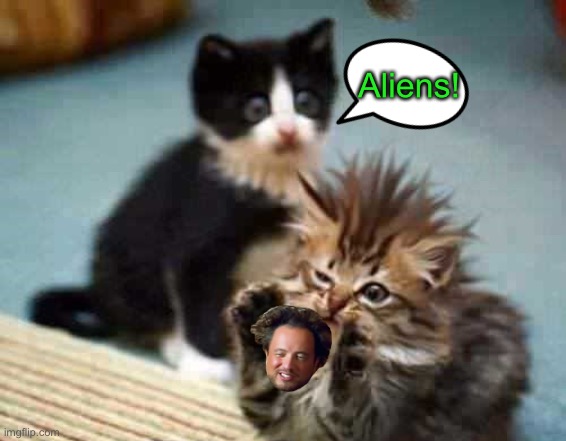 I don’t remember getting that toy. | Aliens! | image tagged in ancient aliens,cats,memes,funny | made w/ Imgflip meme maker